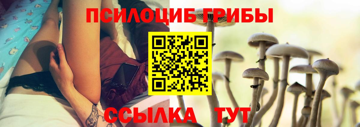 Галлюциногенные грибы Psilocybine cubensis Махачкала